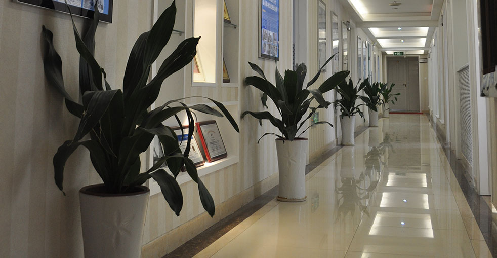 Premium Hospital Infrastructure